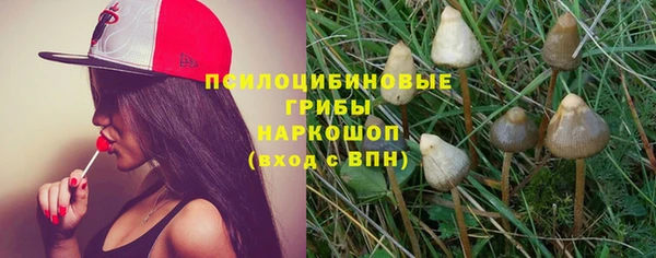 твердый Зеленокумск