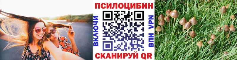 Галлюциногенные грибы Cubensis  Пыталово 